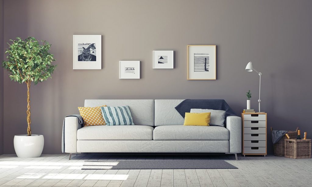 An organised living room with a stylish couch